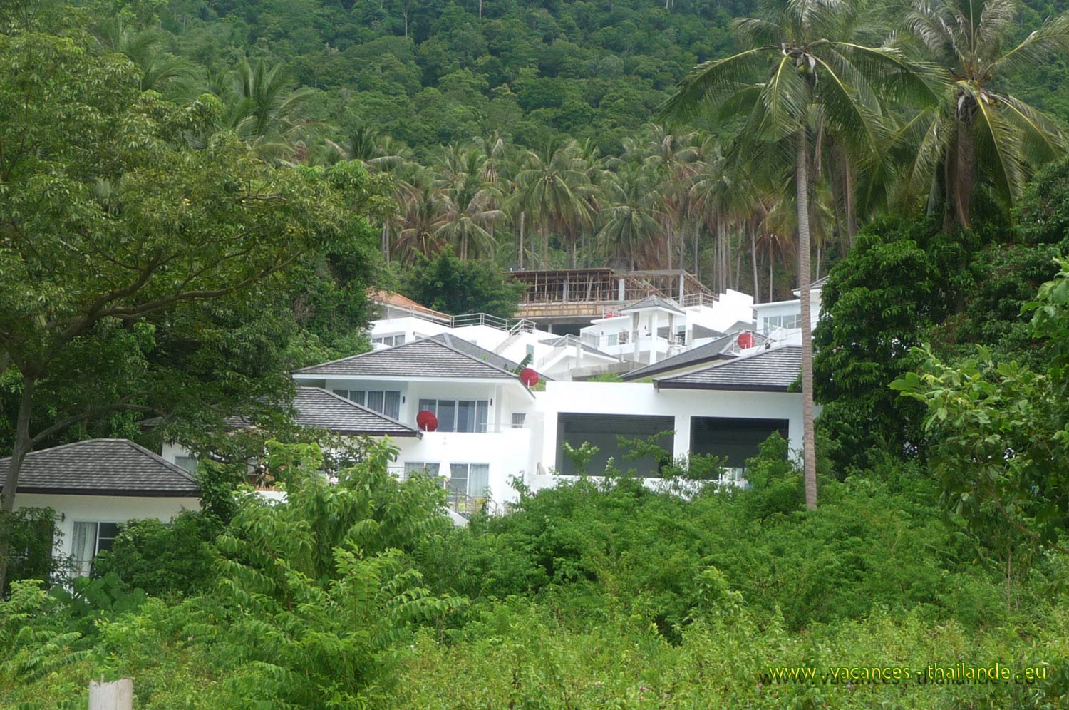 vacances-thailande, photo 22 la maison au milieu de la foret de cocotiers sur le flanc de la montagne  Koh Samui en Thalande,